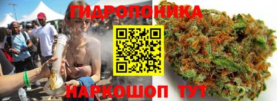 дживик Аша