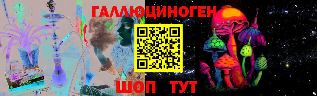 Ивантеевка  Псилоцибиновые грибы MAGIC MUSHROOMS  Вход с VPN  Псилоцибиновые грибы GOLDEN TEACHER 